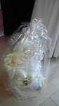 P1000093.JPG