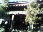 P1030016.JPG